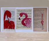 B-creativ - set 12 postkaarten - flamingo thema - excl envelop