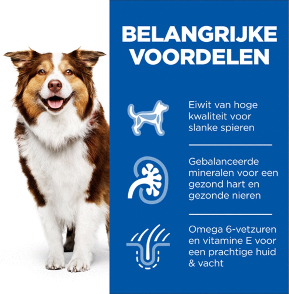 Hill's Canine Mature Adult Medium Kip - Hondenvoer - 2.5 kg thumbnail 2