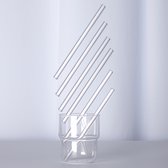 6 Glazen rietjes gemaakt van transparant borosilicaat glas 16 cm x 1 cm. Herbruikbaar en vaatwasser veilig.