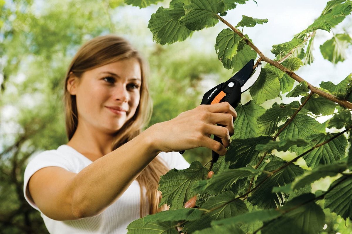 Fiskars Sécateur SingleStep - Sécateur