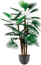 HTT - Kunstplant Rhapis palm in Eggy antraciet H125 cm