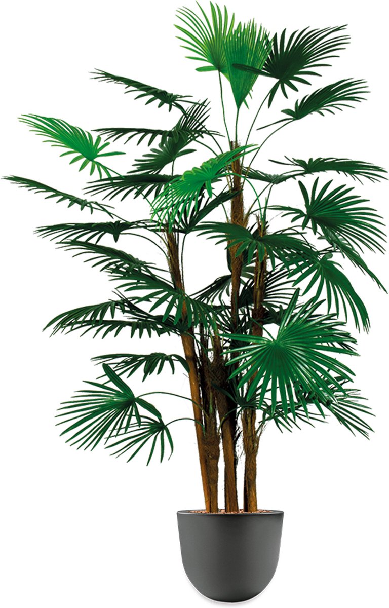 HTT Decorations HTT - Kunstplant Rhapis palm in Eggy antraciet H125 cm