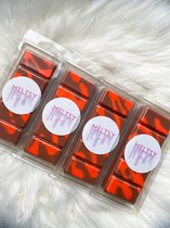 Meltsy Spicy Snap Bar Wax Melts