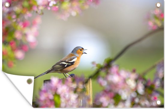 Tuindecoratie Vogel zit op een houten paal bij allemaal roze bloemen - 60x40 cm - Tuinposter - Tuindoek - Buitenposter