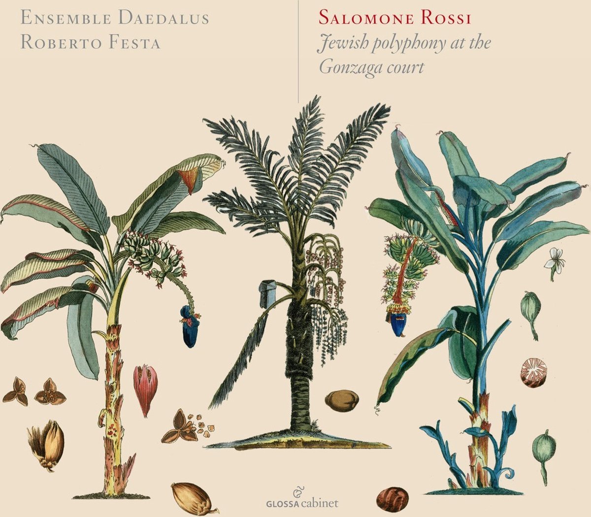 Ensemble Daedalus, Roberto Festa - Rossi: Jewish Polyphony At The Gonzaga Court (CD)