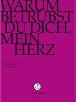 Chor & Orchester Der J.S. Bach-Stiftung, Rudolf Lutz - Bach: Warum Betrubst Du Dich Mein H (DVD)
