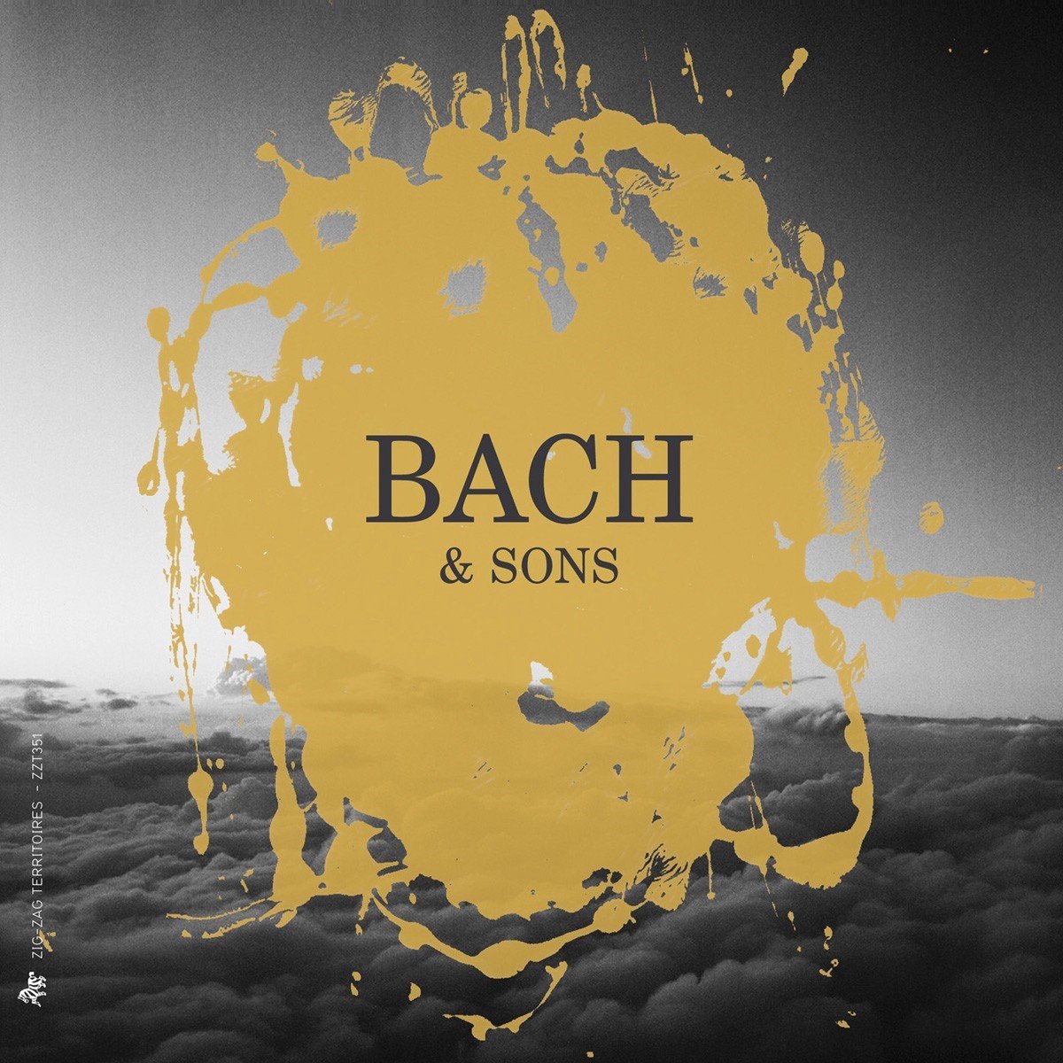 Gli Incogniti, A Deux Fleustes Esgales, Les Nièces de Rameau, Amanda Beyer - Bach & Sons (7 CD)