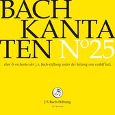 Choir & Orchestra Of The J.S. Bach Foundation, Rudolf Lutz - Bach: Bach Kantaten 25 (CD)