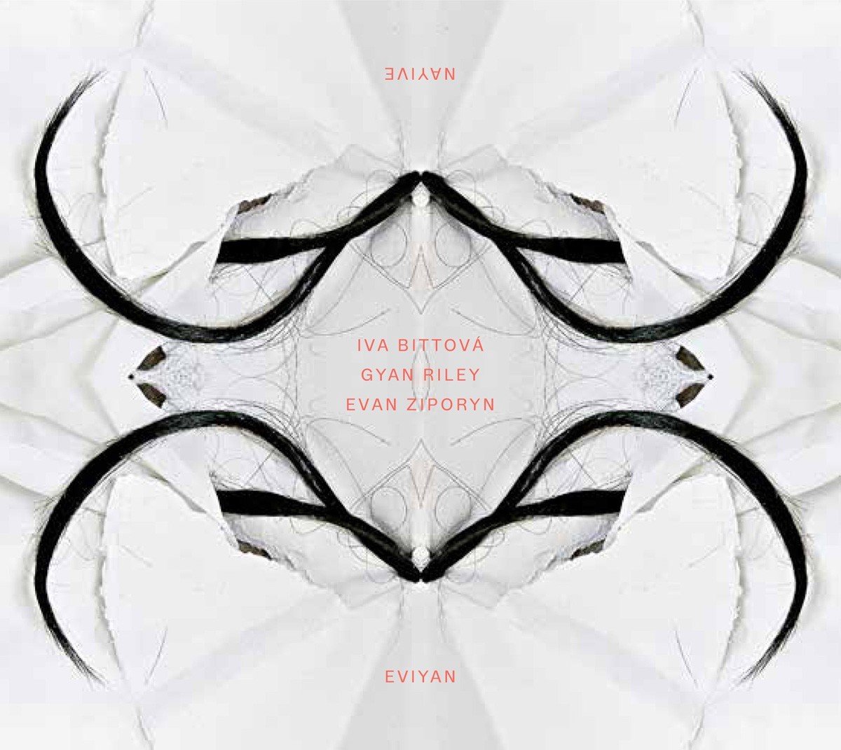 Iva Bittová, Gyan Riley, Evan Ziporyn - Eviyan - Nayive (CD)