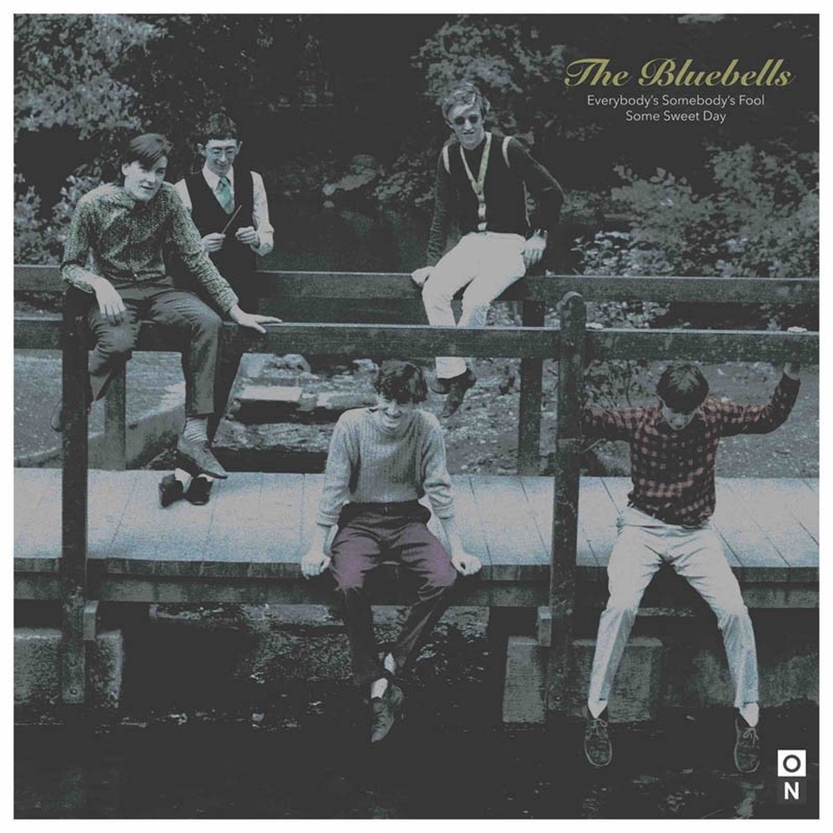 Bluebells - Everybody's Somebody's Fool (7" Single) (Limited Edition) (Coloured Vinyl)