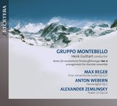 Gruppo Montebello, Henk Guittart - Verein Für Musikalische Privataufführungen Vol. 6 (CD)