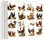 Tableau sur toile Illustration de motif avec des poules et des coqs - 80x60 cm - Décoration murale