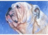 Ansichtkaart Bulldog Loes Botman - 10,5x15x0,5 cm - 5 stuks - Groot Brittanië - Ecostory