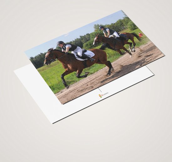 Cadeautip! Luxe ansichtkaarten set Paardrijden 10x15 cm | 24 stuks | Wenskaarten Paardrijden