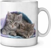 Kittens onder dekentje  Koffie-thee mok