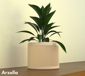 Arzella Groovi Luxe Bloempot Ø12cm - Handgemaakt - Modern design - Plantenpot voor binnen en buiten - Ivoor