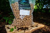 Carpmission Boilie - Nutty - 20mm- Tijgernoten boilie- gecrushte tijgernoten en siroop