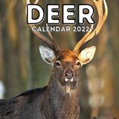 Deer Calendar 2022