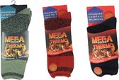 Thermo sokken winter - 3 paar (groen+rood+marine)