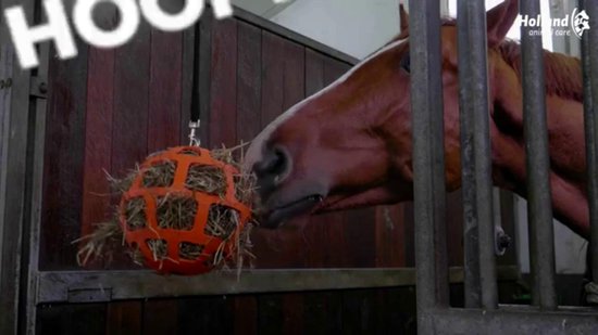 Grande Boule De Friandises Pour Chevaux, Jouet Dalimentation À