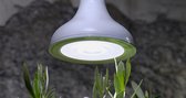 Nelson Garden Groei kweek LED lamp E27 18watt
