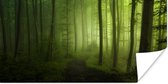 Poster Bospad - Bomen - Groen - Bos - Mistig - Natuur - Planten - 160x80 cm