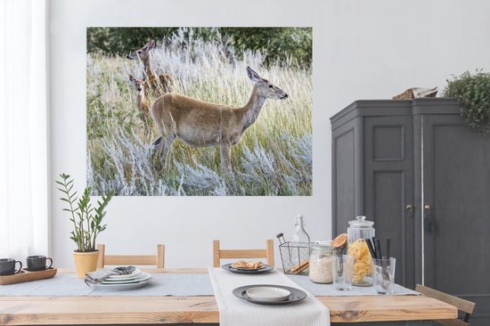 Affiche Animaux - Cerf - Ammophile - 160x120 cm XXL