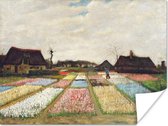 Poster Bollenvelden - Vincent van Gogh - 80x60 cm