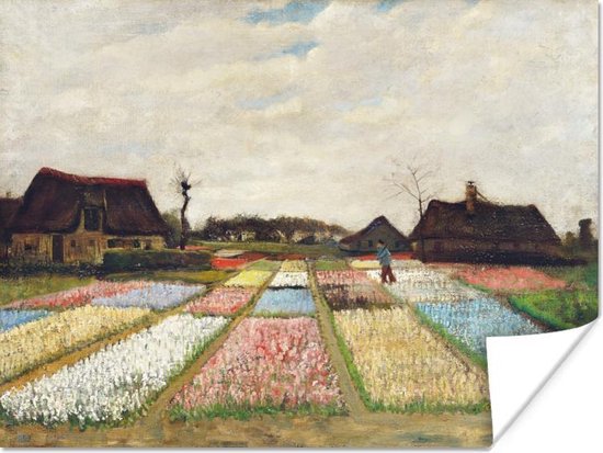 Affiche Champs de bulbes - Vincent van Gogh - 80x60 cm
