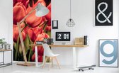 Dimex Red Tulips Vlies Fotobehang 150x250cm 2-banen