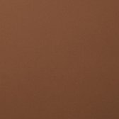 Florence Karton - Hazelnut - 305x305mm - Gladde textuur - 216g