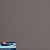 Florence Karton - Concrete - 305x305mm - Gladde textuur - 216g
