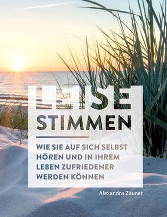 Leise Stimmen - cover