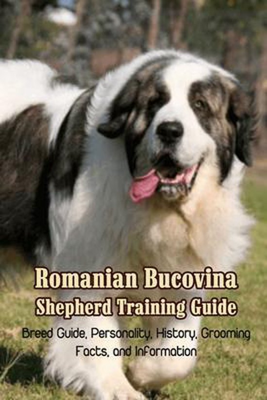Romanian Bucovina Shepherd Training Guide: Breed Guide, Personality, History, Grooming, Facts, and Information