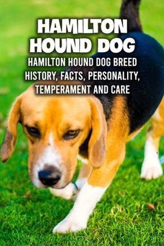 Hamilton Hound Dog
