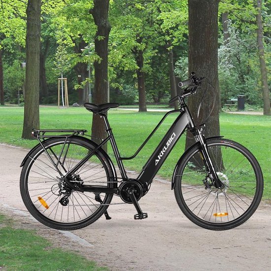 36v 250w sales electric bike