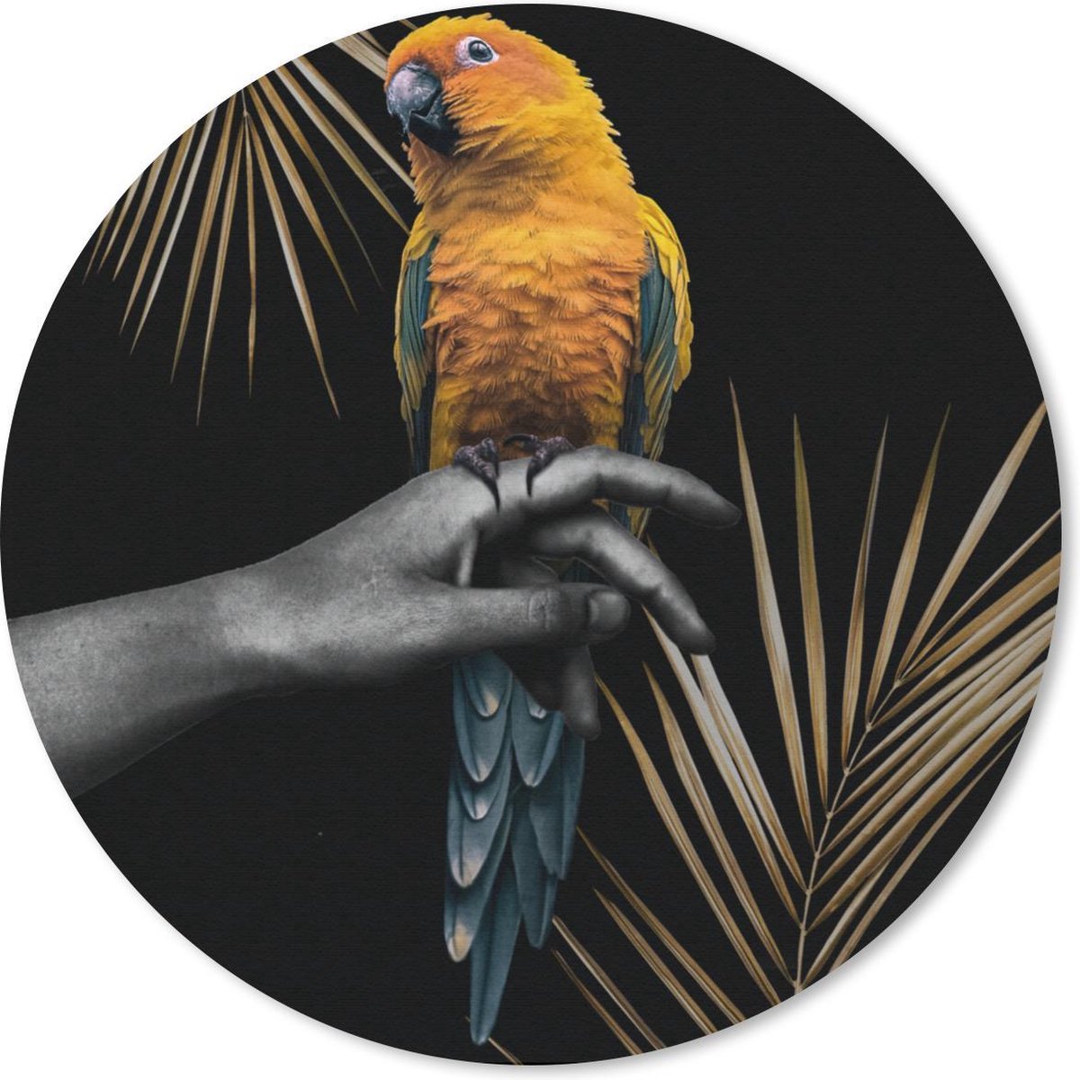 Muismat rond 30x30 cm - Mousepad Vogel - Papegaai - Hand - Varen - Ronde muismatten