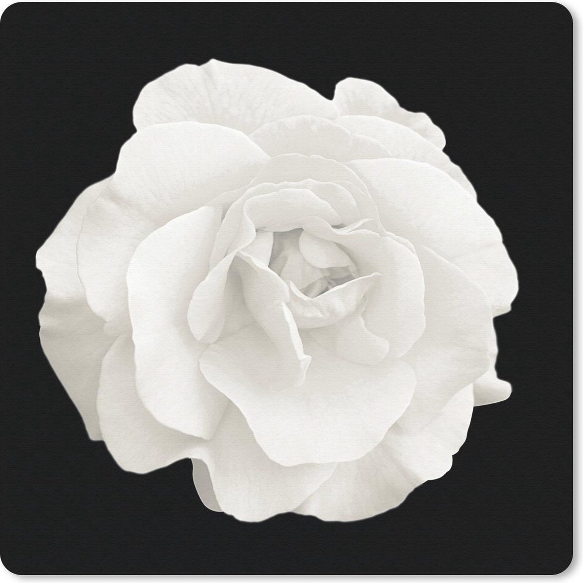 Muismat 30x30 cm - Mousepad Roos - Zwart - Wit - Muismatten