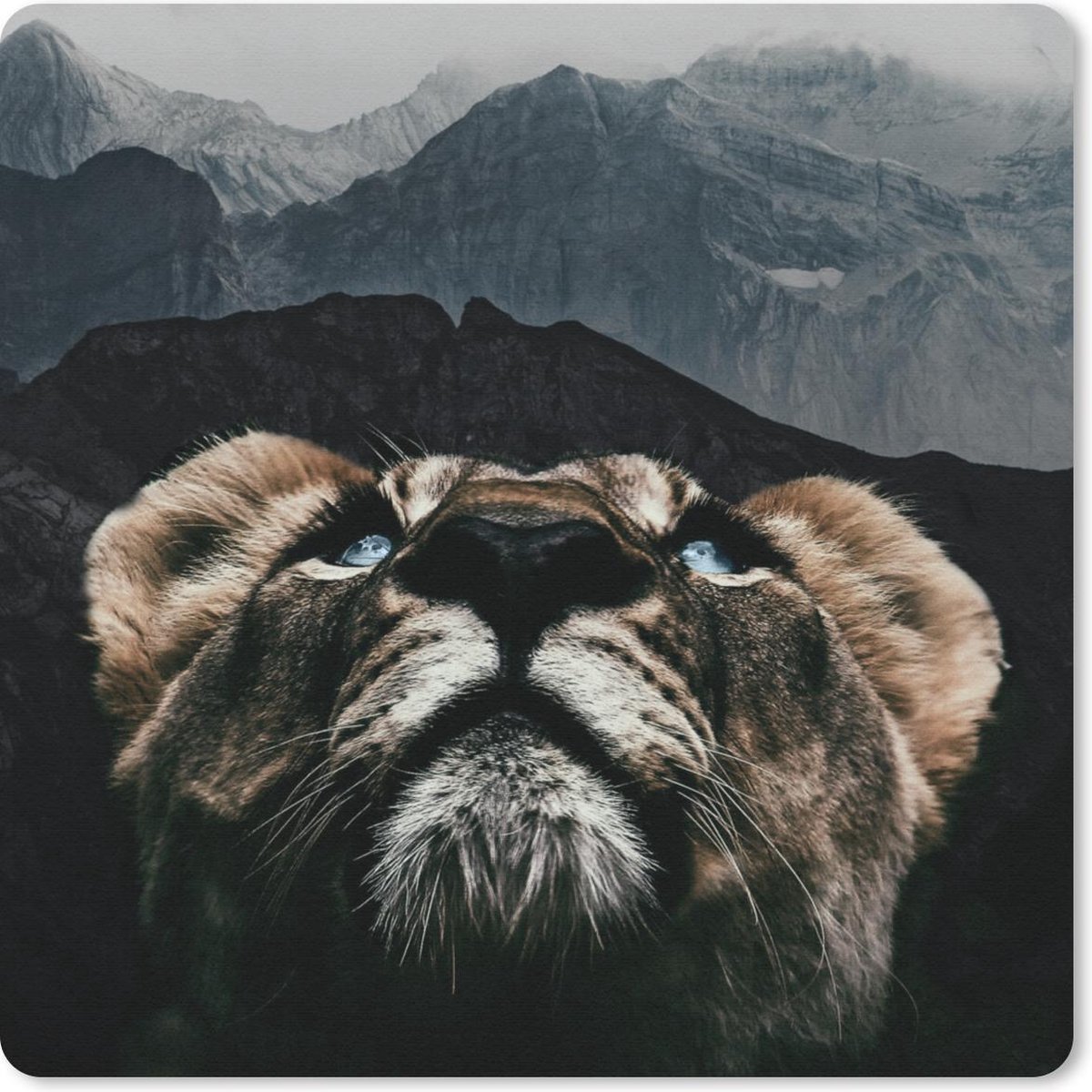 Muismat 20x20 cm - Mousepad Tijger - Berg - Dieren - Muismatten