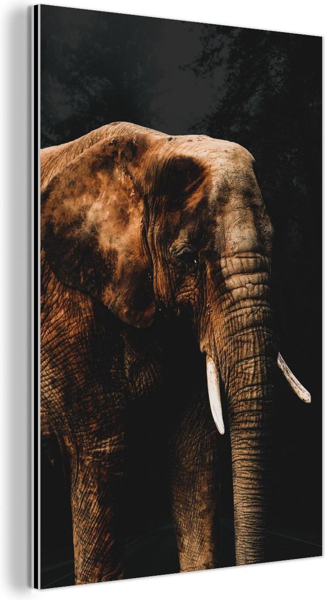 Aluminium schilderij 80x120 cm - Wanddecoratie metaal - Olifant - Zwart - Verf - Metalen m