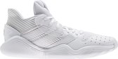 adidas Performance De schoenen van het basketbal Harden Stepback