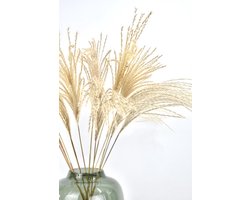 Fluffy Pampas - 15 stuks - Droogbloemen - Droogbloemen pluimen - Pampas - Naturel - 70 cm - Natuurlijk Bloemen