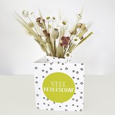 Bloomincard - Droogbloemen Boeket & Veel beterschap vaas - Verrassend en uniek cadeau