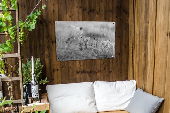 Posters de jardin extérieur Lionne avec son garçon - noir et blanc - 90x60 cm - Toile de jardin - Affiche extérieure