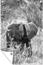 Muurdecoratie Blije baby olifant in Zuid-Afrika - zwart wit - 120x180 cm - Tuinposter - Tuindoek - Buitenposter