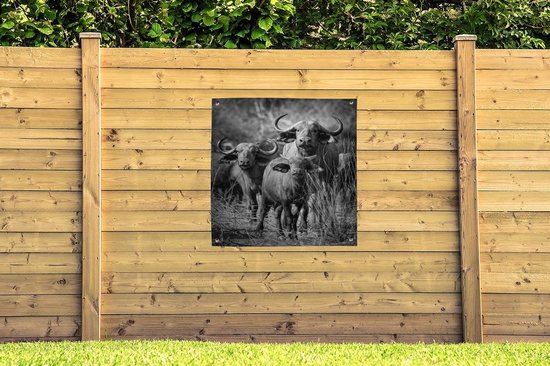 Nappe de jardin Groupe de buffles curieux - noir et blanc - 100x100 cm