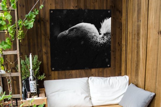 Tissu de jardin Gros plan d'un vautour fond noir - noir et blanc - 100x100 cm
