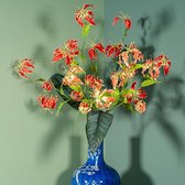 Gemengde Gloriosa takken met tropisch blad
