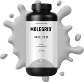 LCD Resin MOLEGRID ™ Basic - Lite Gray 01 - 1kg - Kexcelled