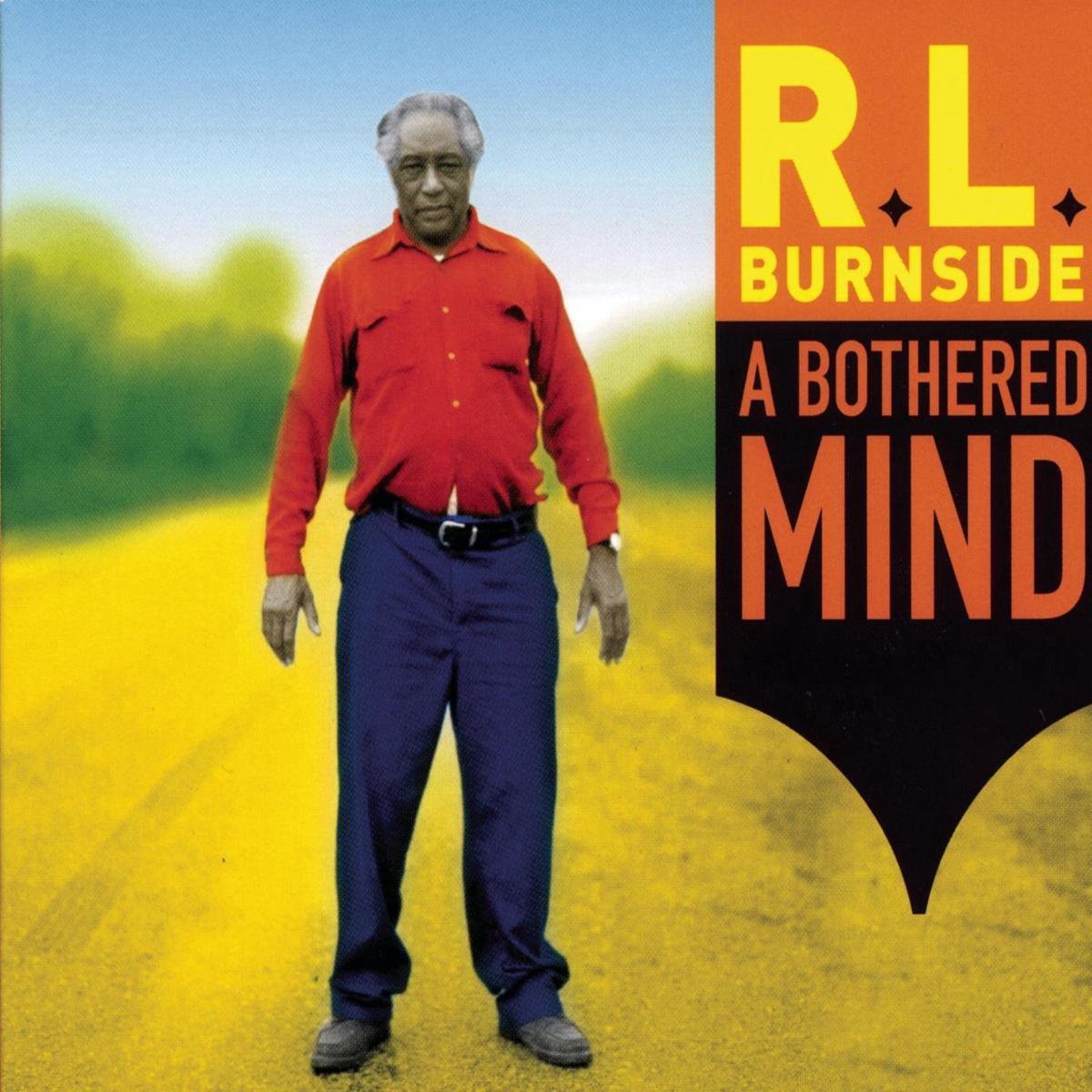 A Bothered Mind